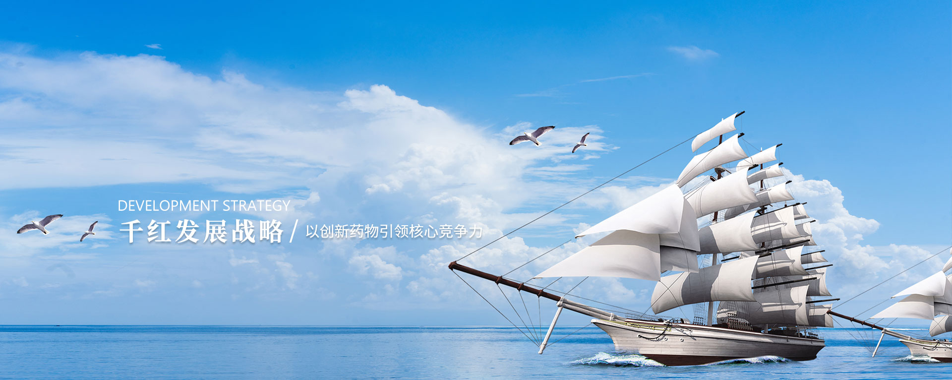 永信贵宾会217发展攻略